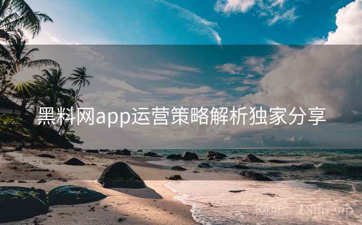 黑料网app运营策略解析独家分享