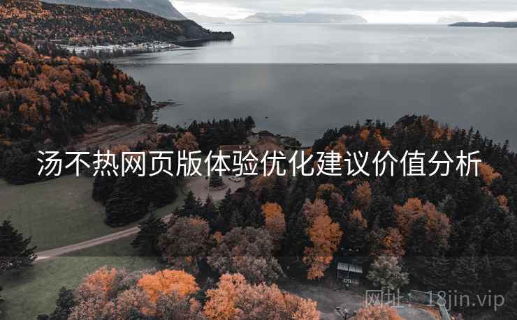 汤不热网页版体验优化建议价值分析