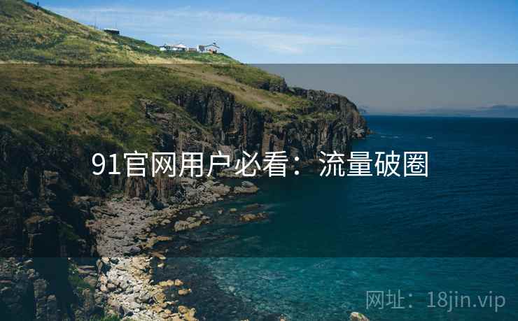 91官网用户必看：流量破圈