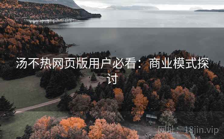 汤不热网页版用户必看：商业模式探讨