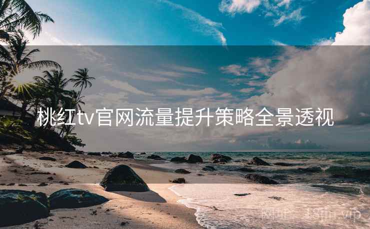 桃红tv官网流量提升策略全景透视