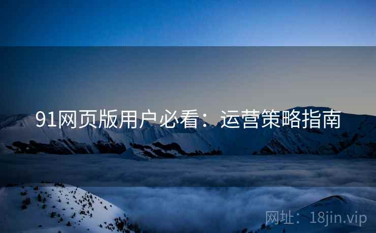 91网页版用户必看：运营策略指南