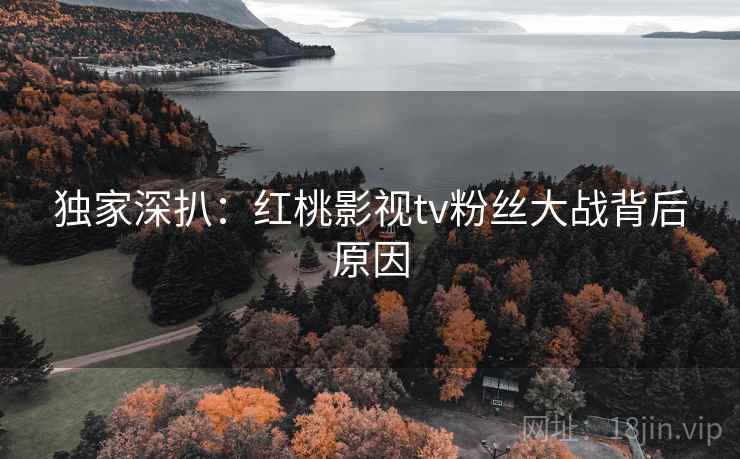 独家深扒：红桃影视tv粉丝大战背后原因