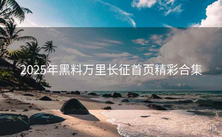 2025年黑料万里长征首页精彩合集