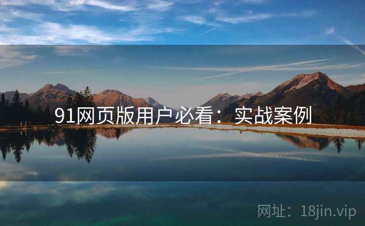91网页版用户必看：实战案例