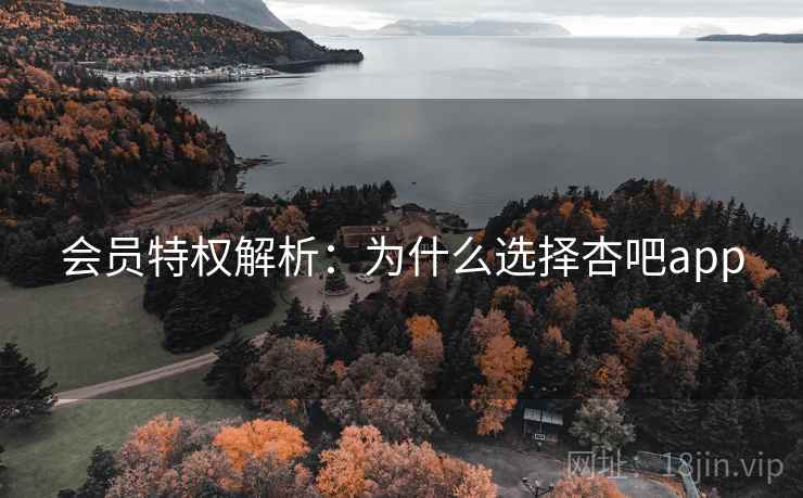 会员特权解析：为什么选择杏吧app