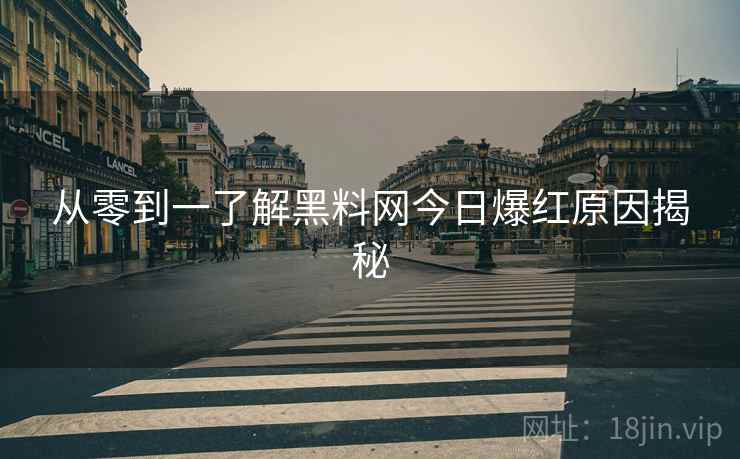 从零到一了解黑料网今日爆红原因揭秘