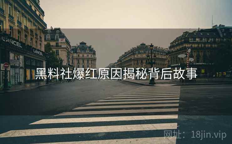 黑料社爆红原因揭秘背后故事