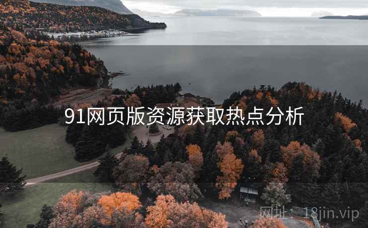 91网页版资源获取热点分析
