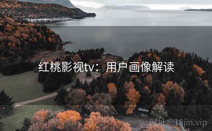 红桃影视tv：用户画像解读