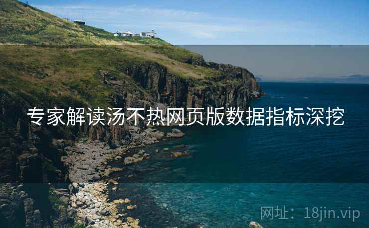 专家解读汤不热网页版数据指标深挖